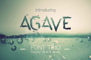 Agave Font Trio: A Perfectly Paired Set for Modern Design